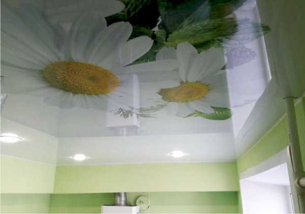 Фотографии потолков на кухне
